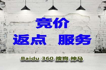 某知名企业SEM营销全案解析